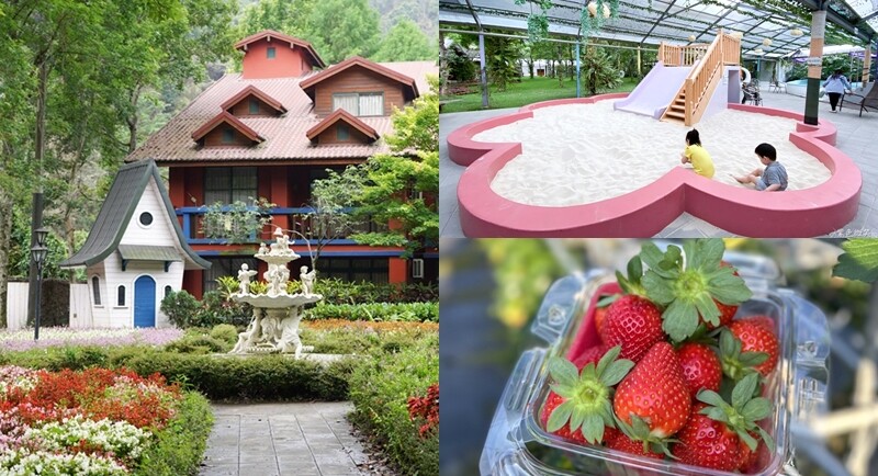 南投縣仁愛鄉清境農場一日遊｜二日遊》青青草原門票資訊、交通地圖、綿羊秀、馬術秀精采又好看