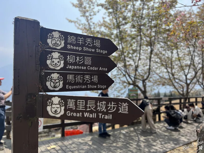 南投縣仁愛鄉清境農場一日遊|二日遊》青青草原門票資訊、交通地圖、綿羊秀、馬術秀精采又好看