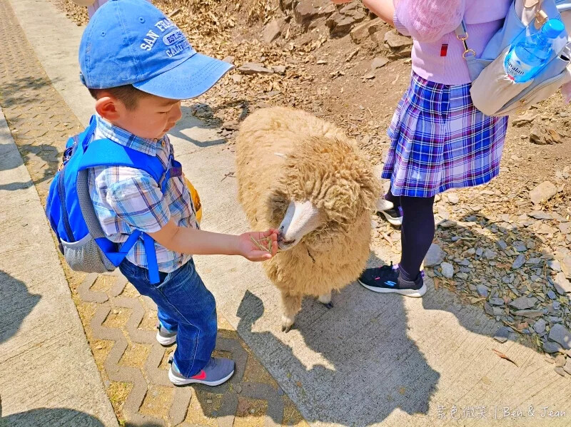 南投縣仁愛鄉清境農場一日遊|二日遊》青青草原門票資訊、交通地圖、綿羊秀、馬術秀精采又好看