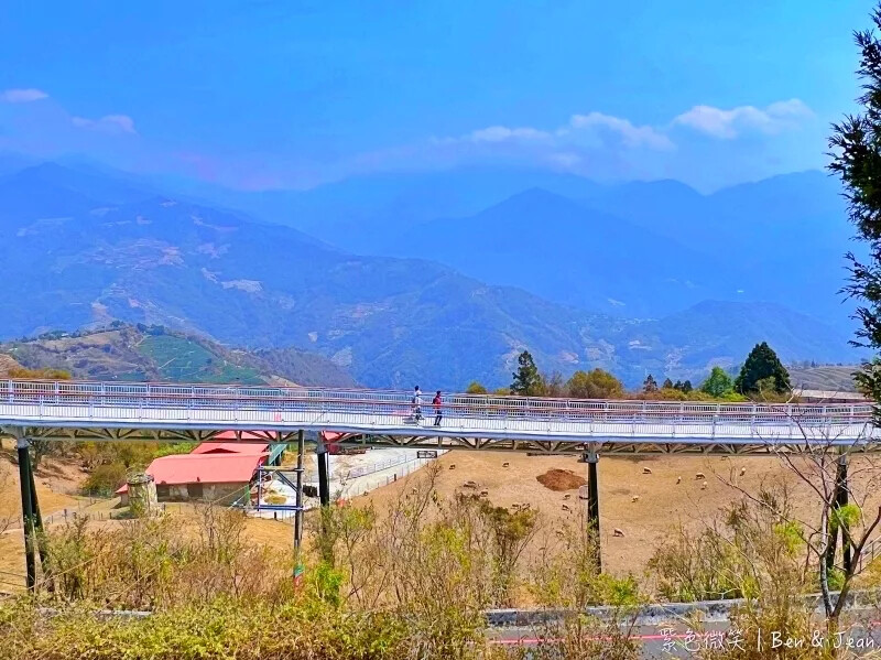 南投縣仁愛鄉清境農場一日遊|二日遊》青青草原門票資訊、交通地圖、綿羊秀、馬術秀精采又好看