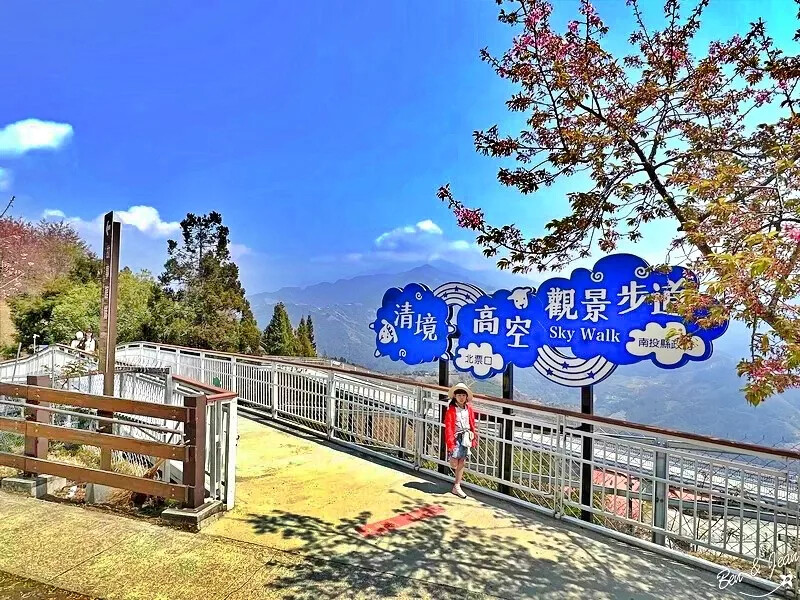 南投縣仁愛鄉清境農場一日遊|二日遊》青青草原門票資訊、交通地圖、綿羊秀、馬術秀精采又好看