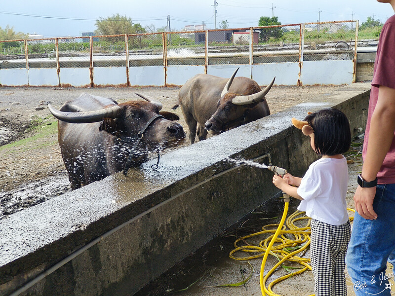 宜蘭縣壯圍鄉壯圍生活節》2024年「我願是你的風景」全方位的展演，多元藝術聚點，精采有趣、好吃又好玩
