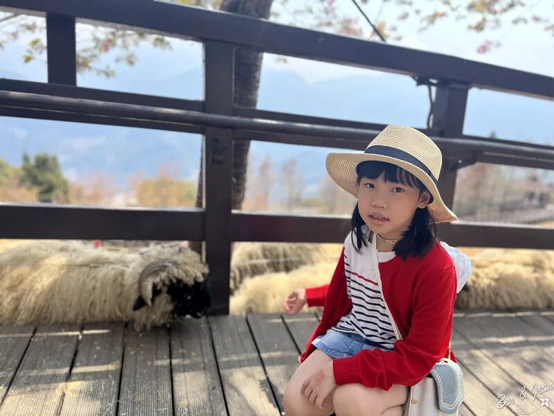 南投縣仁愛鄉清境農場一日遊|二日遊》青青草原門票資訊、交通地圖、綿羊秀、馬術秀精采又好看