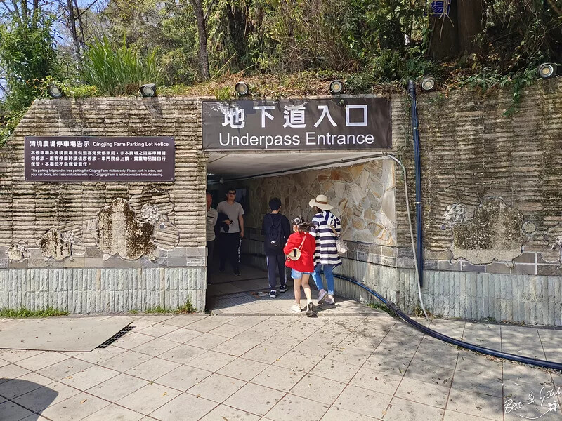 南投縣仁愛鄉清境農場一日遊|二日遊》青青草原門票資訊、交通地圖、綿羊秀、馬術秀精采又好看