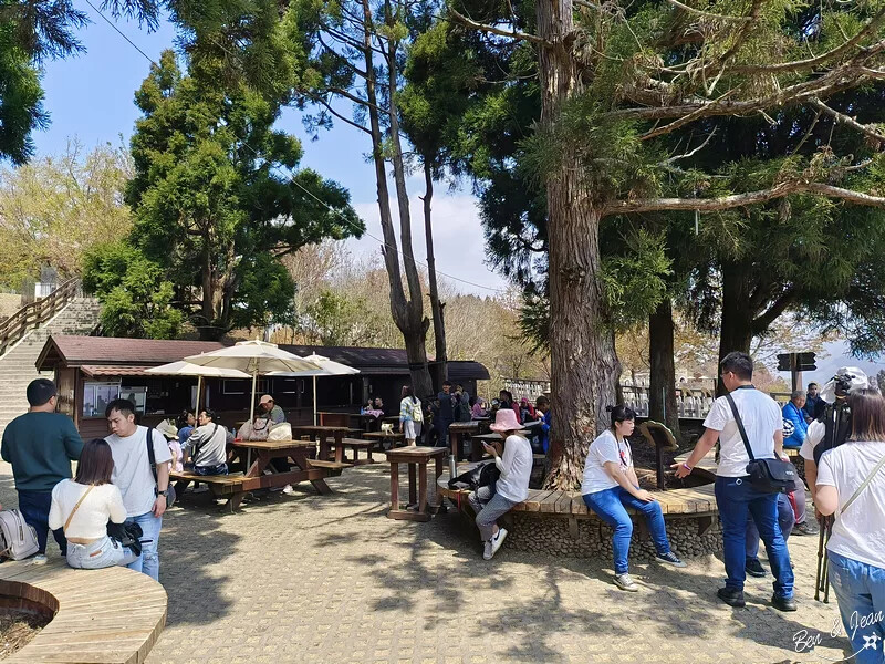 南投縣仁愛鄉清境農場一日遊|二日遊》青青草原門票資訊、交通地圖、綿羊秀、馬術秀精采又好看