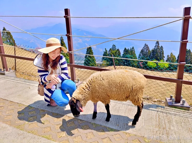 南投縣仁愛鄉清境農場一日遊|二日遊》青青草原門票資訊、交通地圖、綿羊秀、馬術秀精采又好看