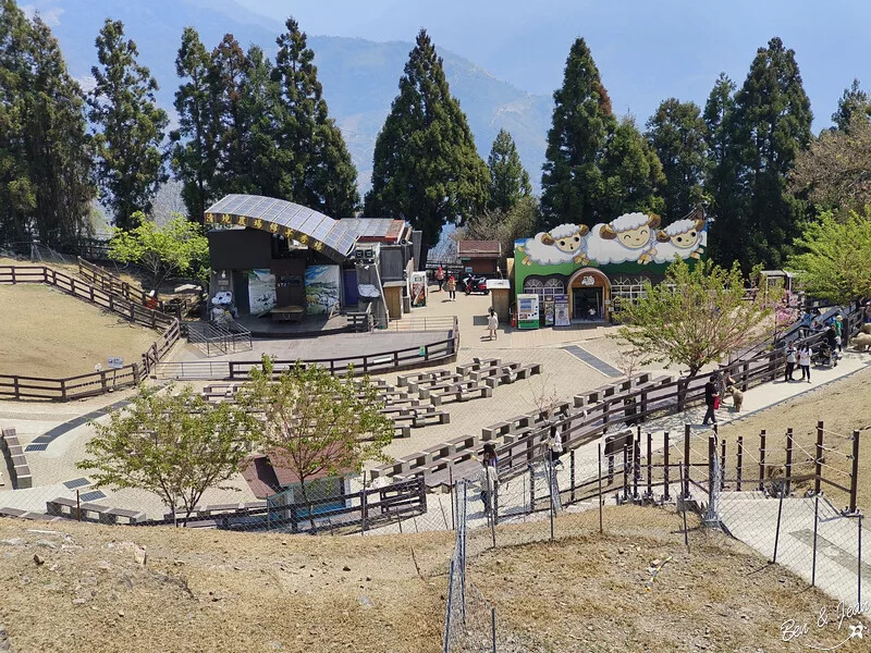 南投縣仁愛鄉清境農場一日遊|二日遊》青青草原門票資訊、交通地圖、綿羊秀、馬術秀精采又好看