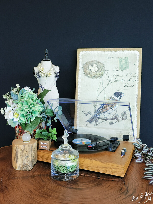 宜蘭縣壯圍鄉壯圍生活節》2024年「我願是你的風景」全方位的展演，多元藝術聚點，精采有趣、好吃又好玩