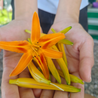 感受農村生活的滿滿療癒！這次的旅程美食、風景一應俱全，讓你吃好玩滿，連景點打卡都讓人忍不住想多拍幾張。