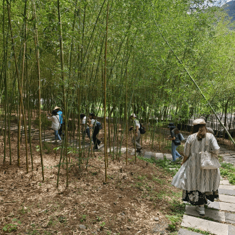 感受農村生活的滿滿療癒！這次的旅程美食、風景一應俱全，讓你吃好玩滿，連景點打卡都讓人忍不住想多拍幾張。