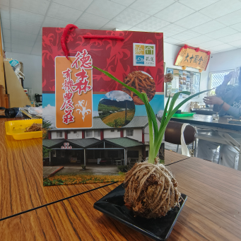感受農村生活的滿滿療癒！這次的旅程美食、風景一應俱全，讓你吃好玩滿，連景點打卡都讓人忍不住想多拍幾張。