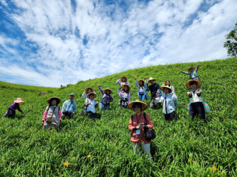 感受農村生活的滿滿療癒！這次的旅程美食、風景一應俱全，讓你吃好玩滿，連景點打卡都讓人忍不住想多拍幾張。