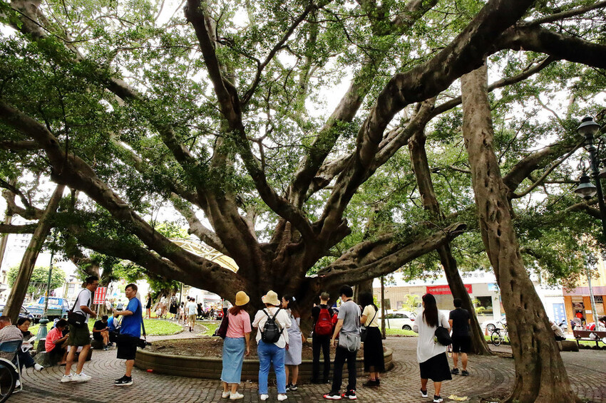 新開幕!!福瑞堂【歷史建築南投稅務出張所】,新台菜創意料理、 新開幕!!福瑞堂【歷史建築南投稅務出張所】,新台菜創意料理、