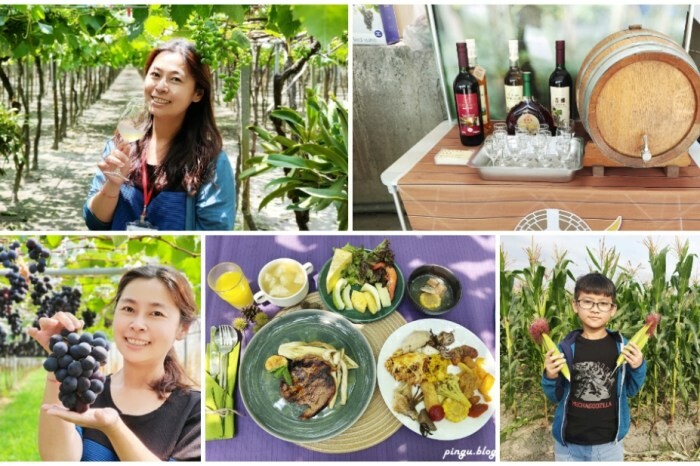 花蓮縣玉里鎮花蓮景點｜六十石山金針花海 忘憂大地感謝祭 (113/8/10~10/13)