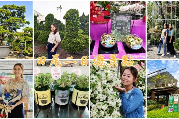 花蓮縣玉里鎮花蓮景點｜六十石山金針花海 忘憂大地感謝祭 (113/8/10~10/13)