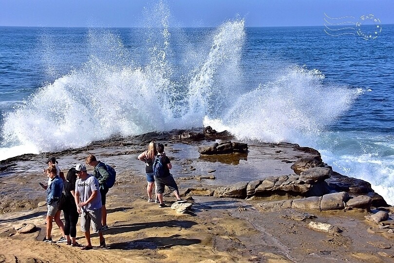 加州聖地牙哥【拉荷亞海灘】