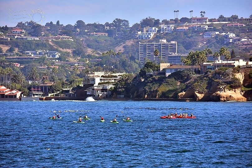 加州聖地牙哥【拉荷亞海灘】