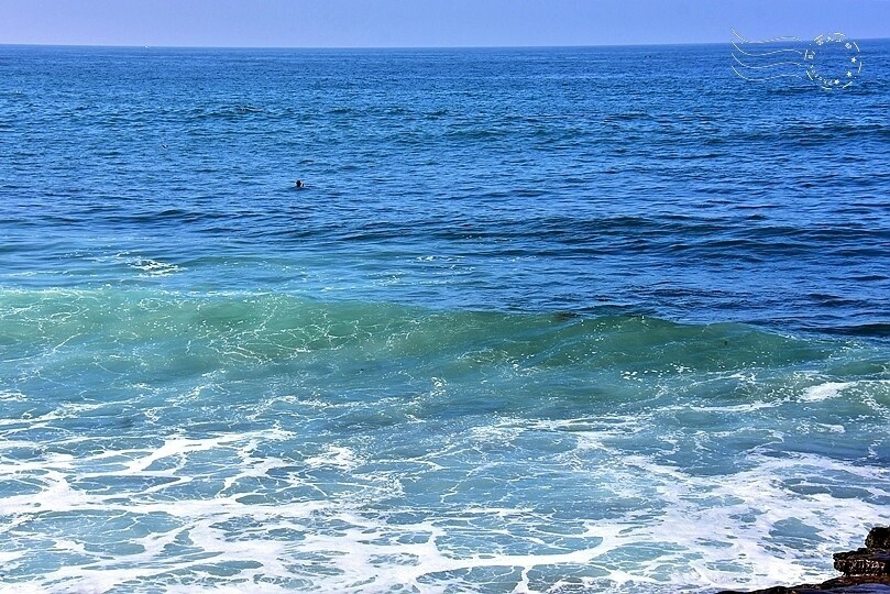 加州聖地牙哥【拉荷亞海灘】