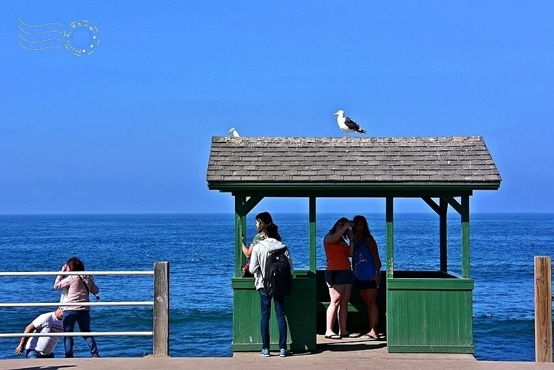 加州聖地牙哥【拉荷亞海灘】