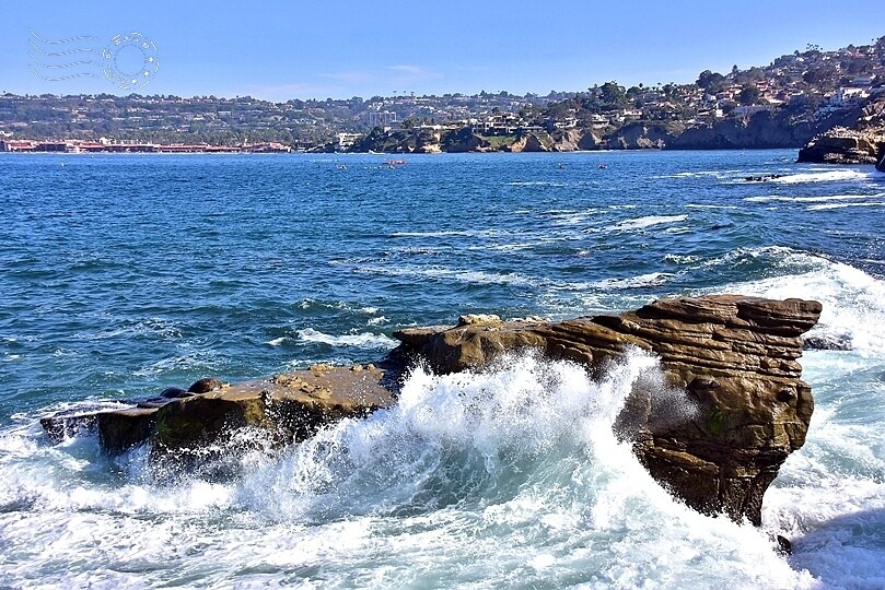 加州聖地牙哥【拉荷亞海灘】