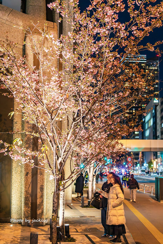 IMG_8391-已增強-雜訊減少