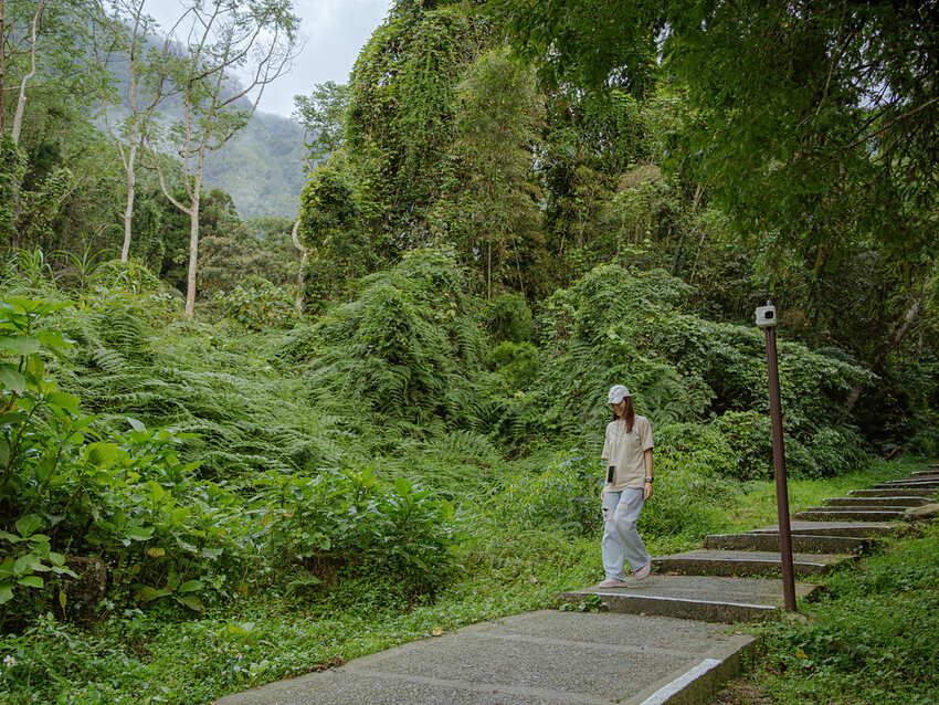 DSC09399-已增強-雜訊減少