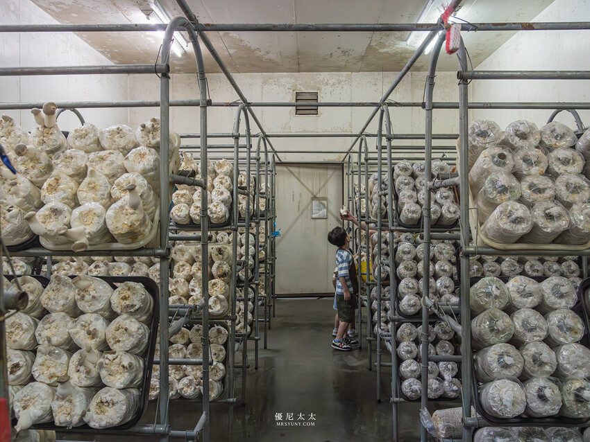 DSC07626-已增強-雜訊減少