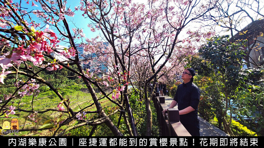 台北市松山區便宜有冷氣附停車場的親子景點 台北偶戲館，超好逛好玩有互動區，世界各國玩偶一次看完