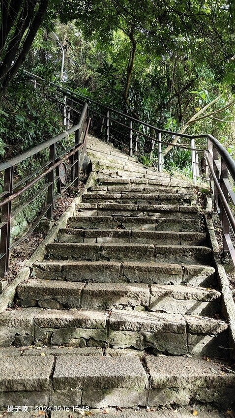 2024象山親山步道👣捷運象山站➱代天殿靈雲宮｜象山步道➱象