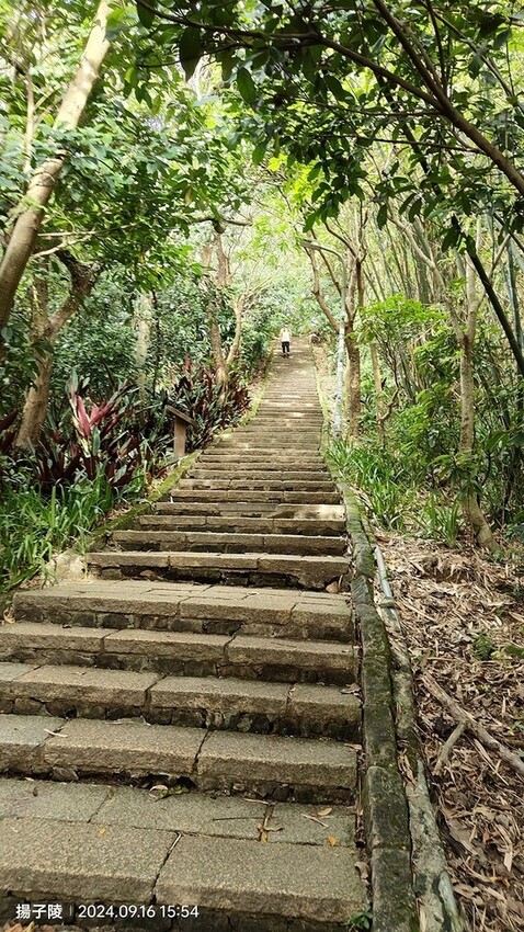 2024象山親山步道👣捷運象山站➱代天殿靈雲宮｜象山步道➱象