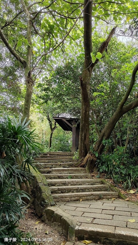 2024象山親山步道👣捷運象山站➱代天殿靈雲宮｜象山步道➱象