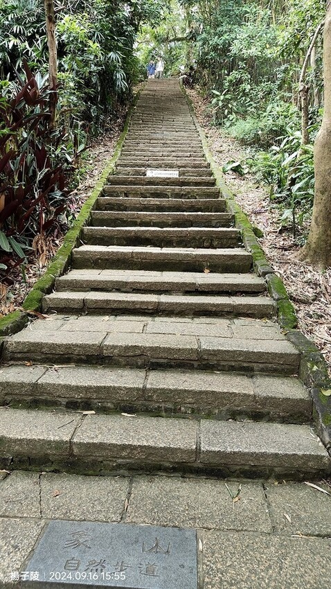 2024象山親山步道👣捷運象山站➱代天殿靈雲宮｜象山步道➱象