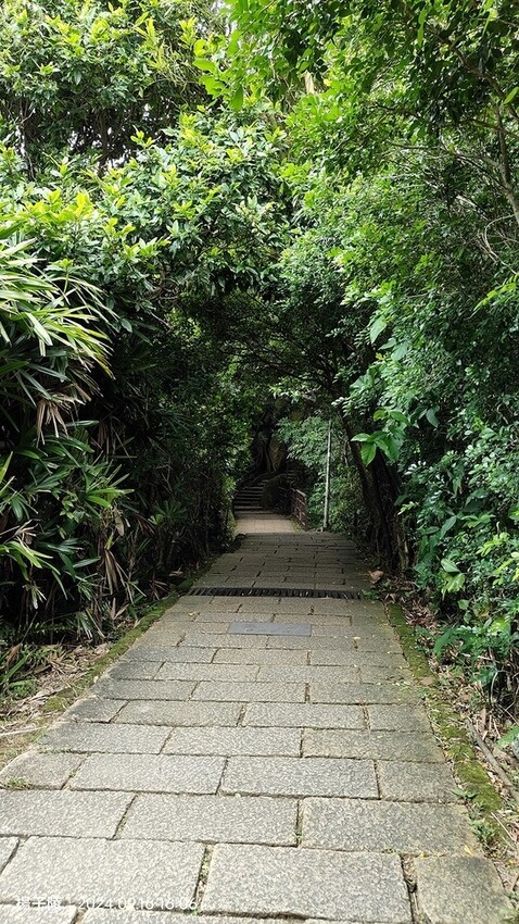 2024象山親山步道👣捷運象山站➱代天殿靈雲宮｜象山步道➱象