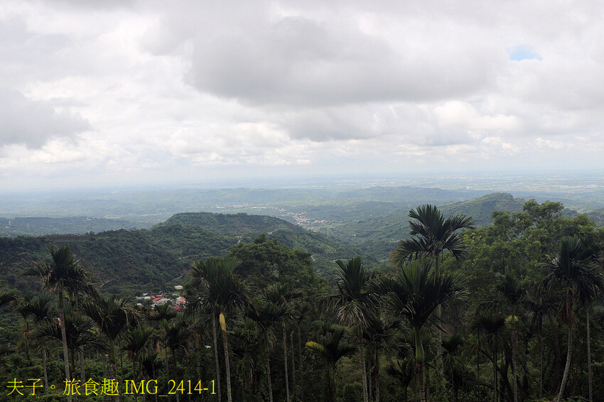 175東山咖啡公路 賞山巒美景 認識東山咖啡的美好