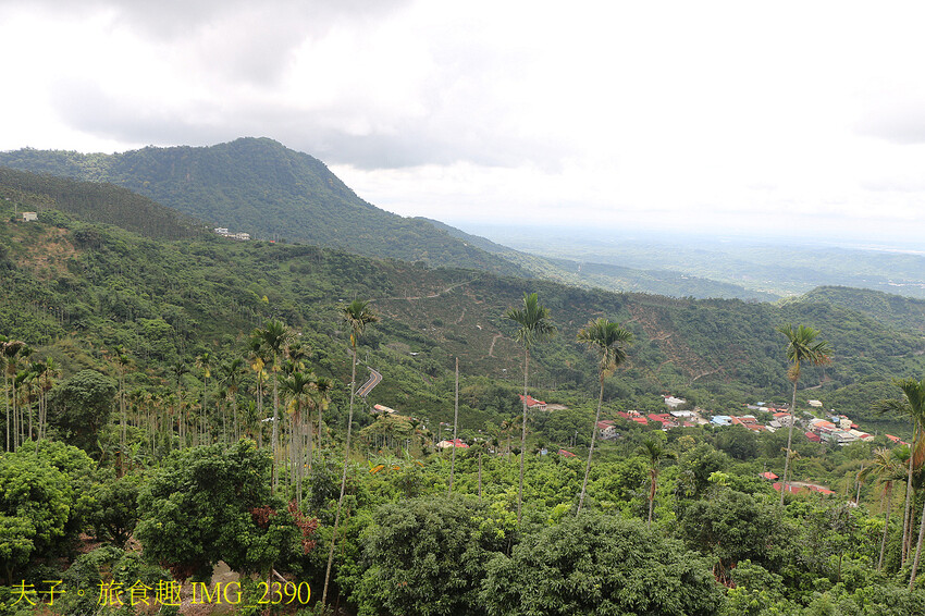 175東山咖啡公路 賞山巒美景 認識東山咖啡的美好