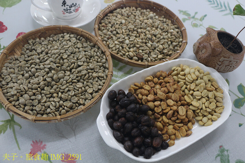 175東山咖啡公路 賞山巒美景 認識東山咖啡的美好