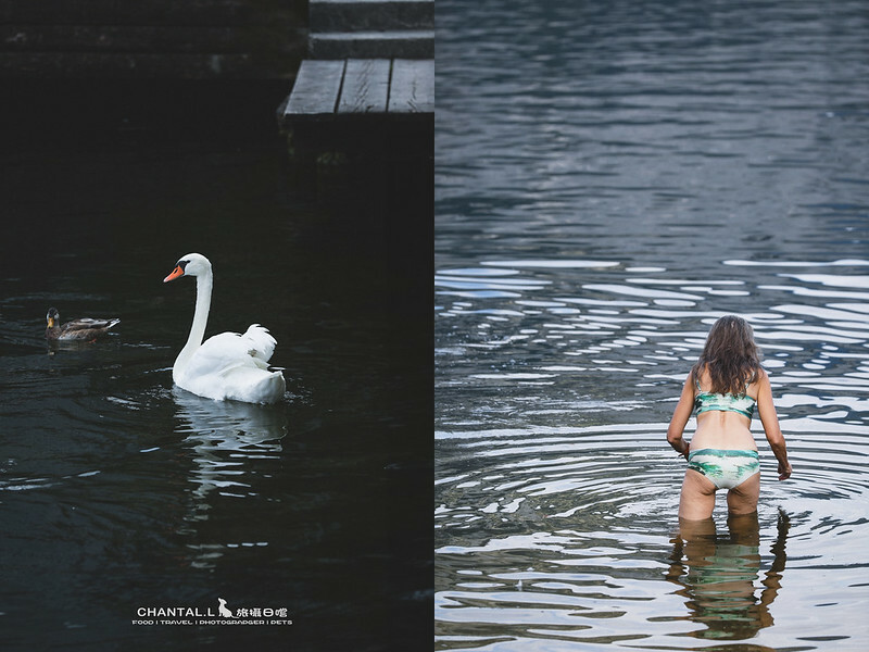 1J6A3133-2拷貝 拷貝 2