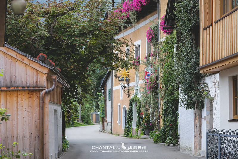 1J6A3125-2 拷貝2 拷貝