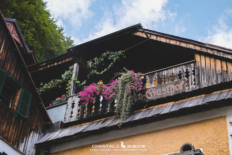 1J6A3228-2拷貝 拷貝