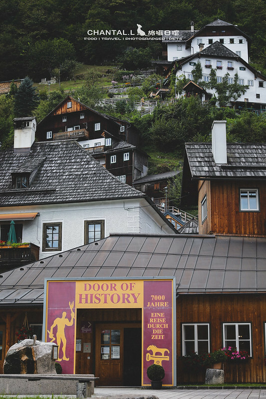 1J6A3100-2拷貝 拷貝