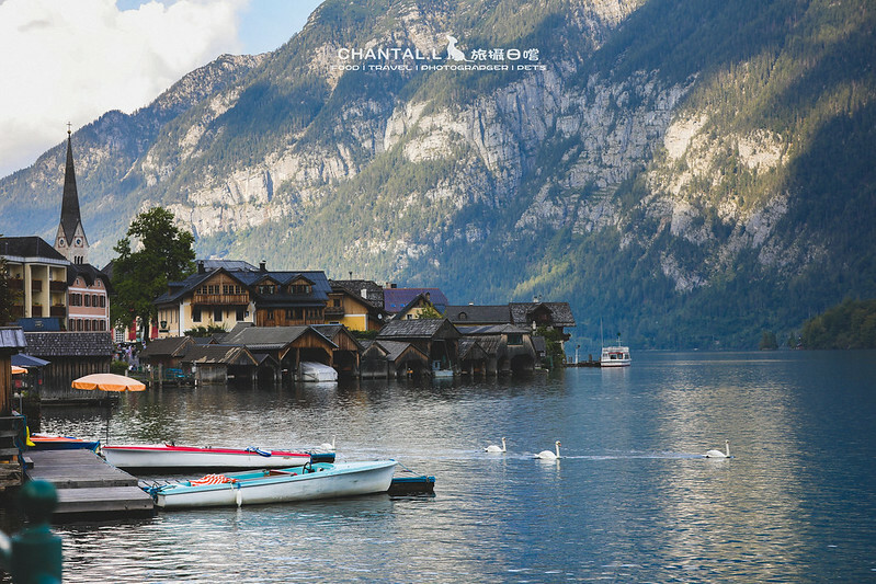 1J6A3154-2拷貝 拷貝