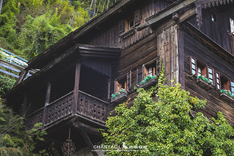 1J6A3226-2拷貝 拷貝