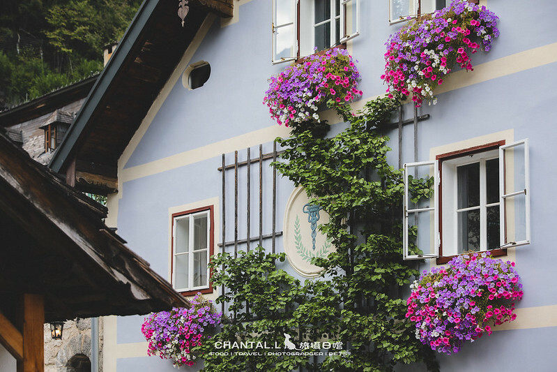 1J6A3099-2拷貝 拷貝