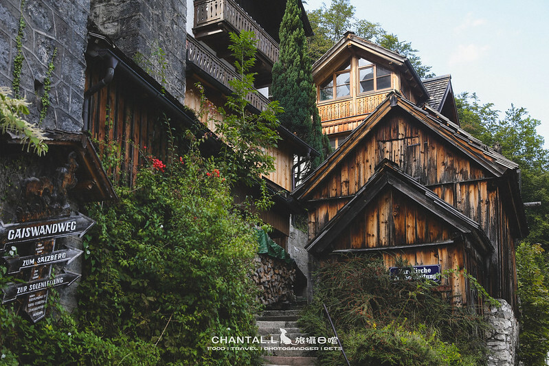 1J6A2990-2拷貝 拷貝