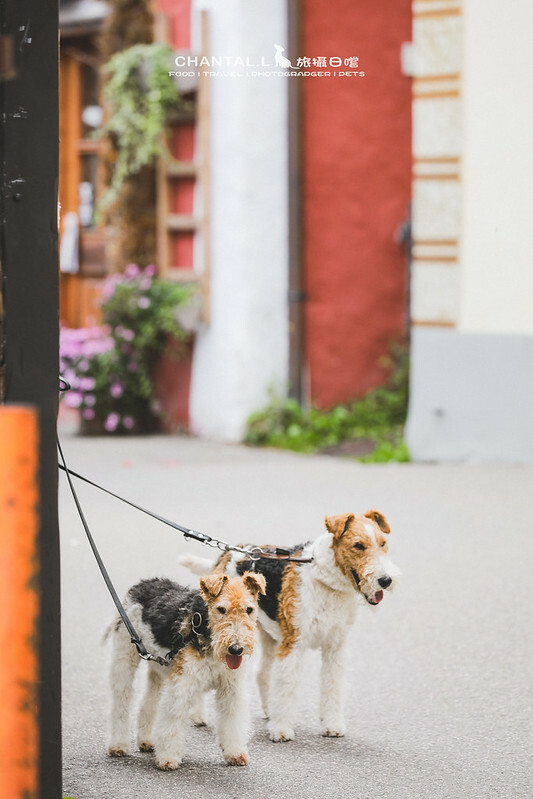 1J6A3124-2拷貝 拷貝