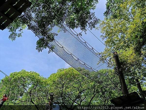 泰雅渡假村守護木³島邁向勇士之路第二天／高空繩索挑戰膽量體能