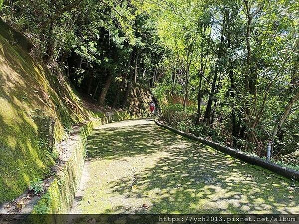 泰雅渡假村守護木³島邁向勇士之路第二天／高空繩索挑戰膽量體能