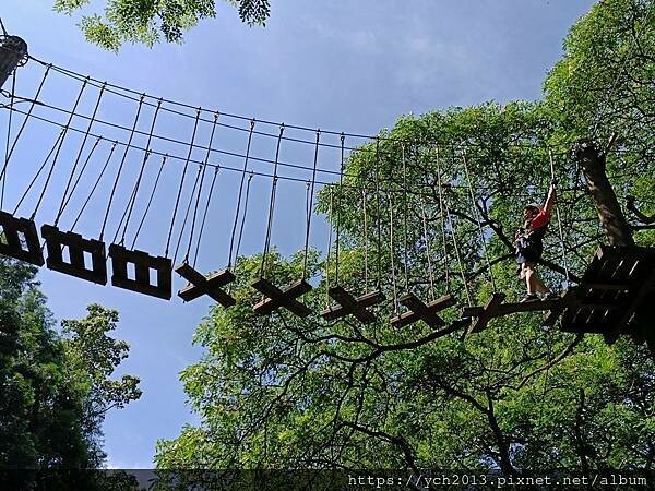 泰雅渡假村守護木³島邁向勇士之路第二天／高空繩索挑戰膽量體能