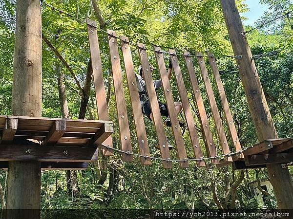 泰雅渡假村守護木³島邁向勇士之路第二天／高空繩索挑戰膽量體能
