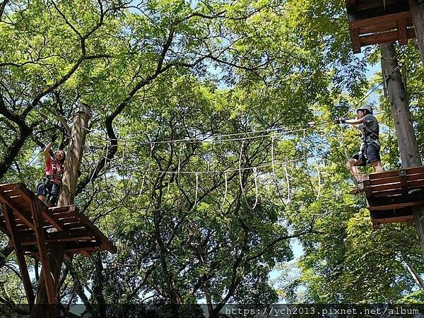 泰雅渡假村守護木³島邁向勇士之路第二天／高空繩索挑戰膽量體能